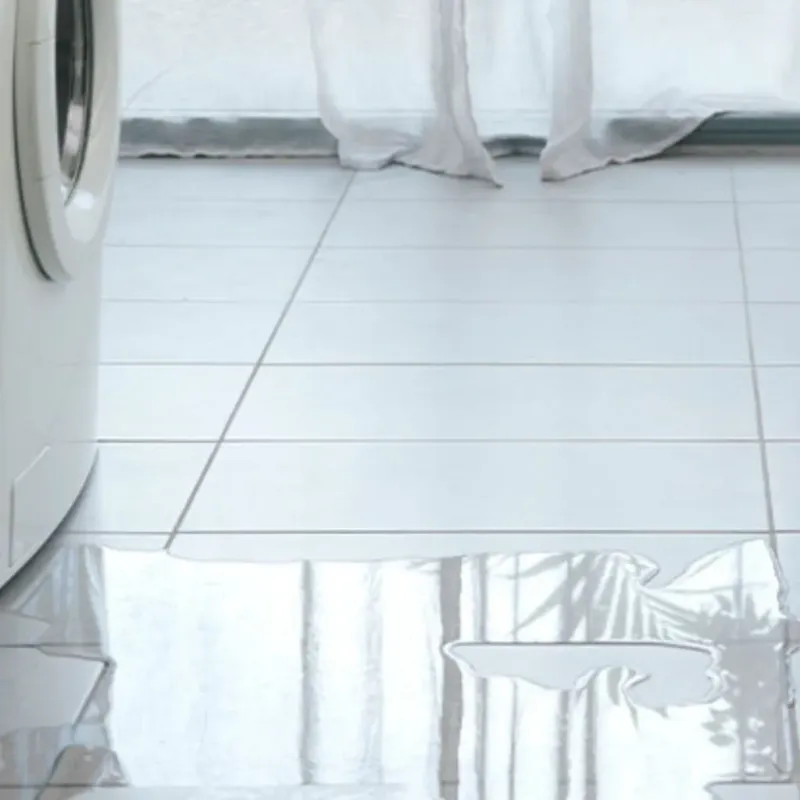 Appliance Leak Cleanup in Burley, WA