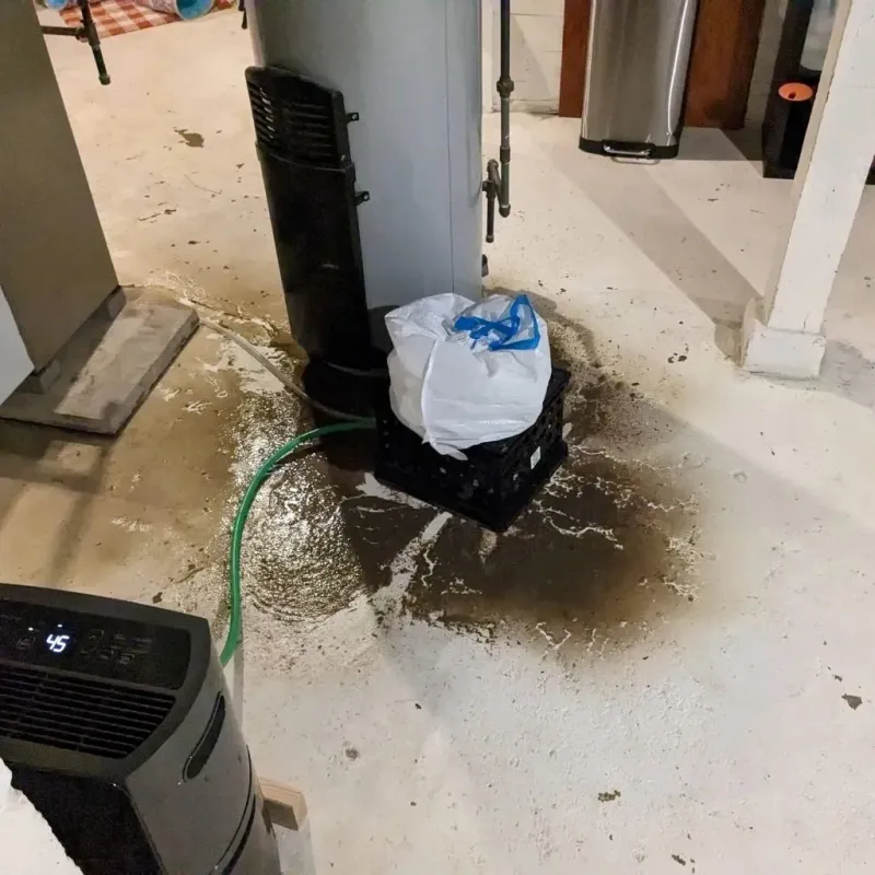 Sewage Backup Cleanup Service in Burley, WA